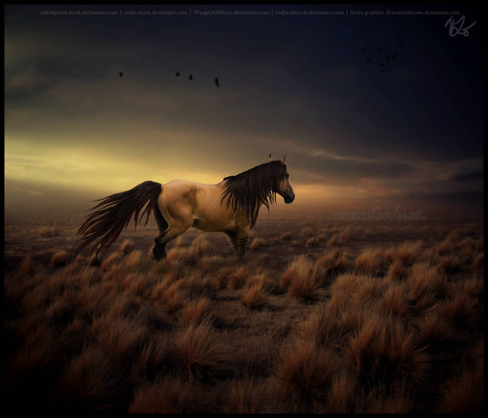 gift - wanderlust. by letrainfalldown