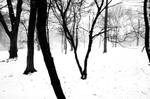 CP Snowscape by parisienne-in-ny