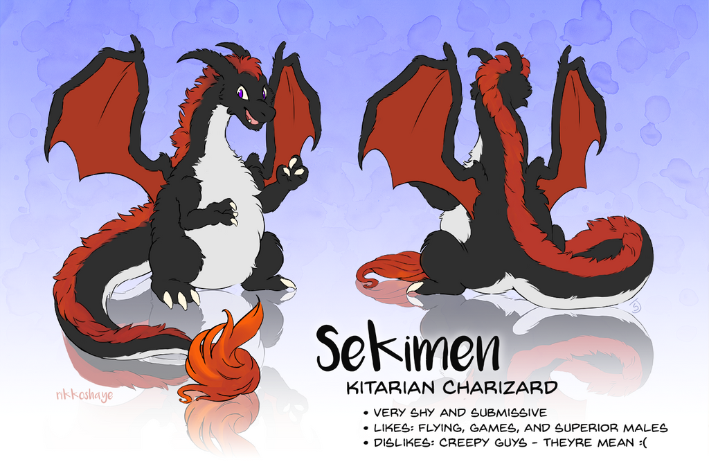 Sekimen by Rikkoshaye