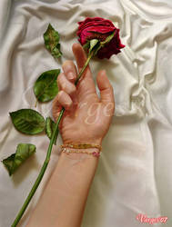 Rosa by Varges