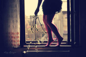 It's spring, you know. by Lukreszja