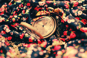 Time goes by. by Lukreszja