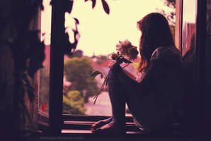 The flowers you gave me.. by Lukreszja