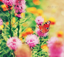 World in pastel colors. by Lukreszja