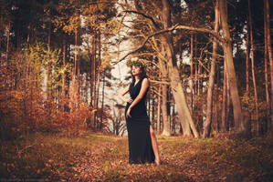 Miss Fall. by Lukreszja