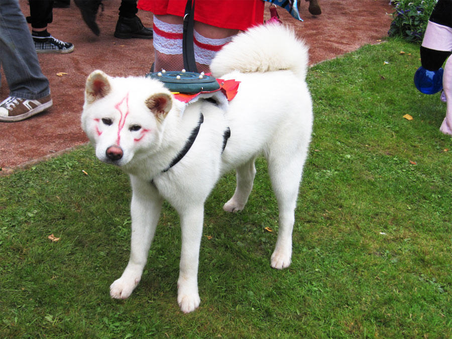 Amaterasu by StummerVogel