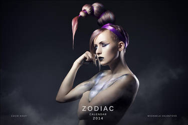 Zodiac hair fashion calendar by luciekout