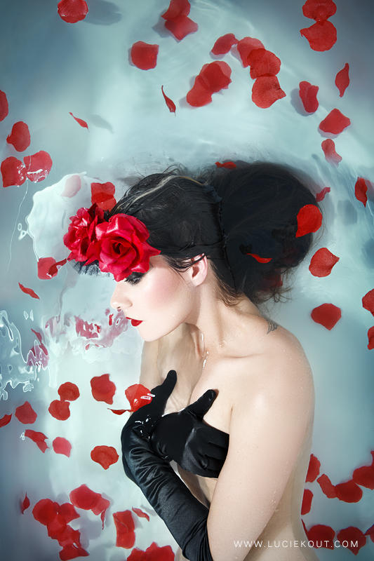 Where The Wild Roses Grow by luciekout