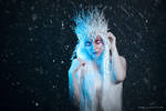 Winter III by luciekout
