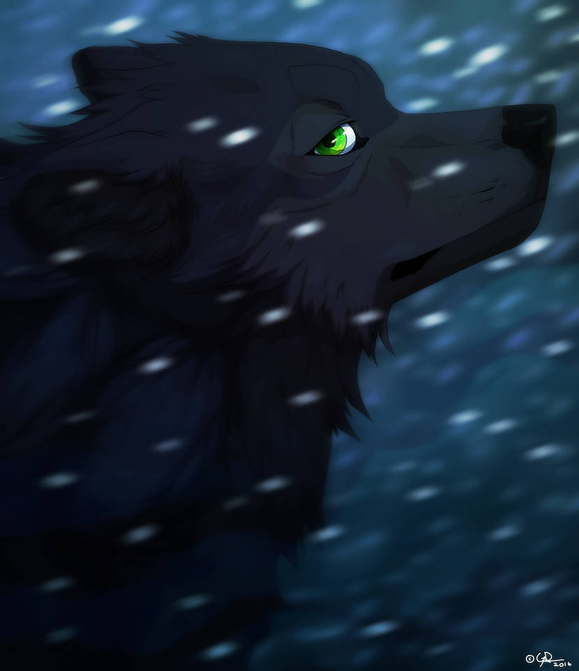 Jera fanart by GoldenDragonART