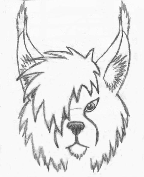 Random Lynx by glaciess