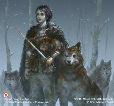 Arya Stark and Nymeria by XiaTaptara