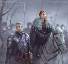 Sansa and Brienne by XiaTaptara