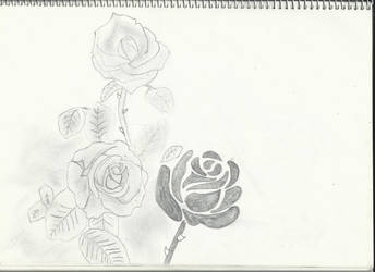 Roses in 3 styles by iNf3ctedRa1N