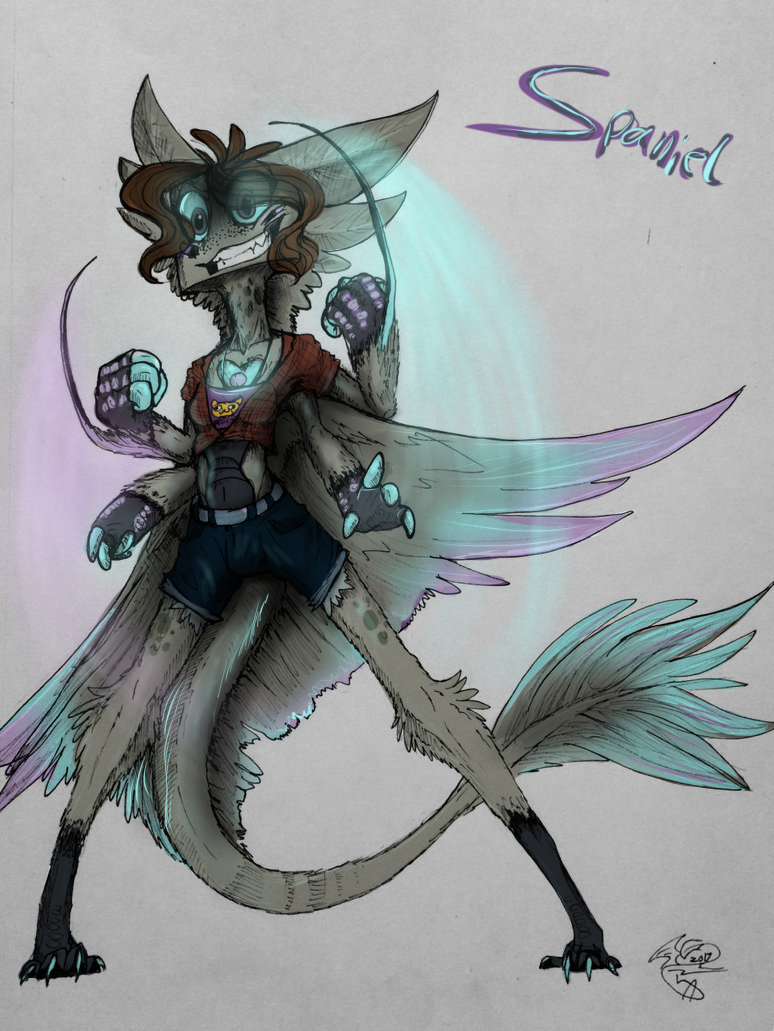Spaniel fusion final design (updated info below) by SpasDragonStudios