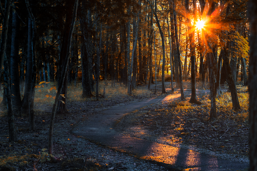 Autumn Morning by JonUriah