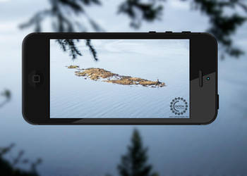 Autofocus by Ommin202