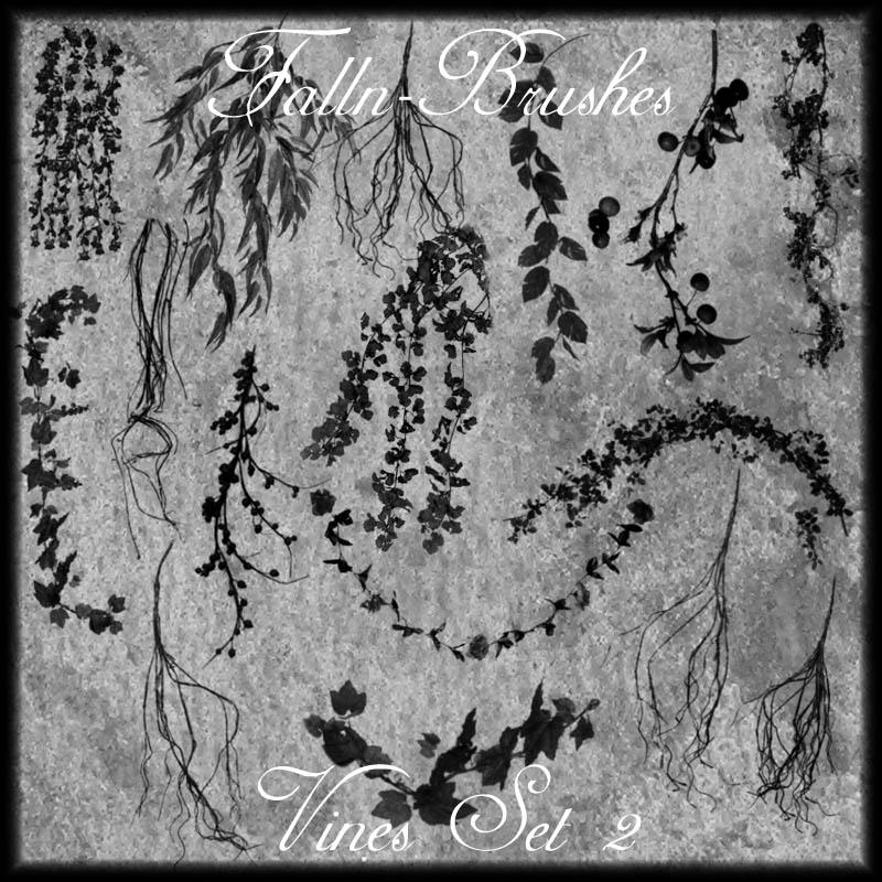 Vines Brushes Set 2 by Falln-Brushes