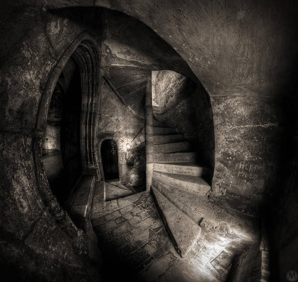 Decisions by andreimogan
