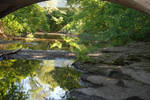 Rocks and Trees 1 by krissybdesignsstock