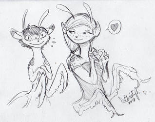 Sketch 2 for dsagoa