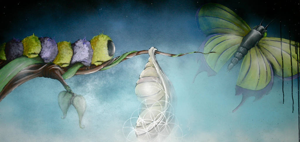 metamorphosis by drippyhippie