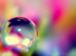 :rainbow: by onixa