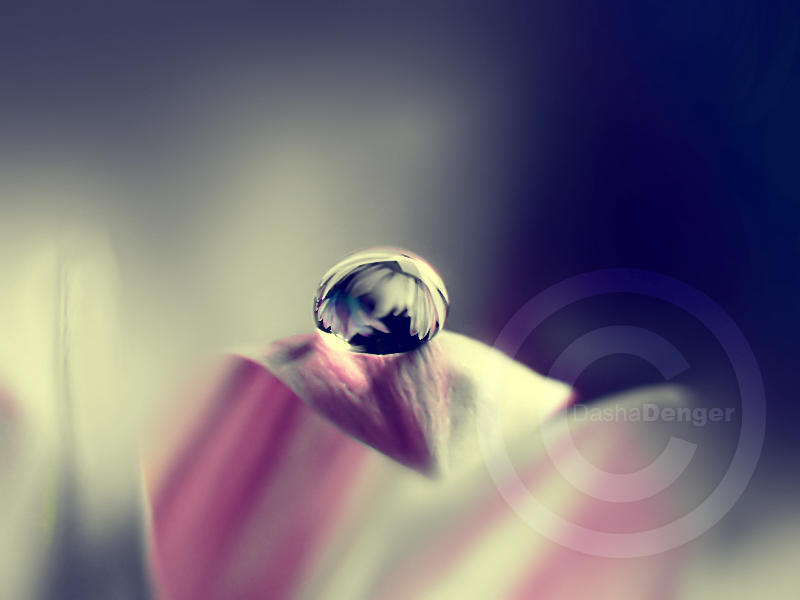 ::Silver:: by onixa