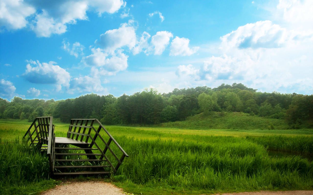 Some Place by balderoine