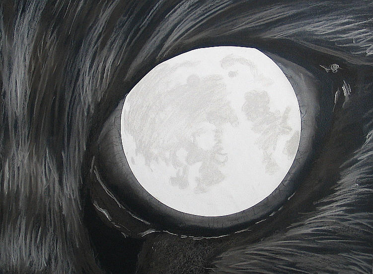 The Cat and the Moon by bumblefly