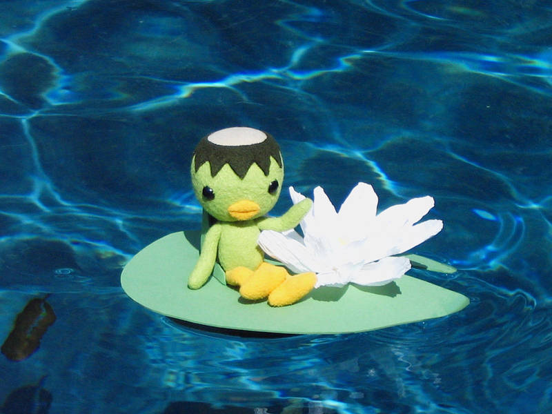 Kippa on a Lily Pad by bumblefly