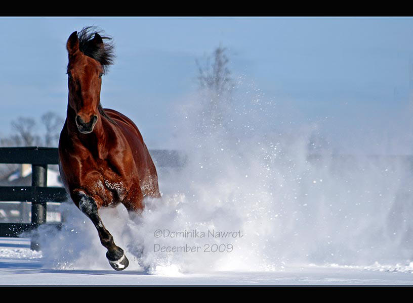 Snow Charge by Goodbye-kitty975
