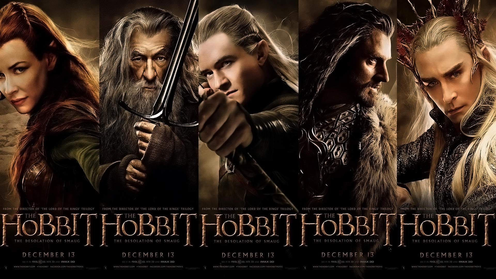 The Hobbit: The Desolation of Smaug Wallapper by renatofraccari