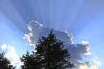 ...AND GLORY ABOUNDS by Artographs