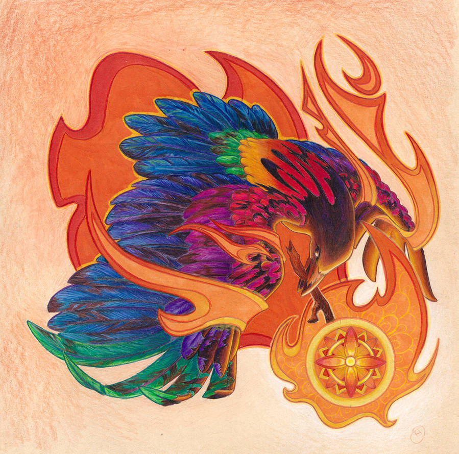 The Rainbow Crow by Kiki-Tayler The Rainbow Crow by Kiki-Tayler