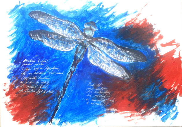 On the sea, the end and the dragonfly by Kiriwana