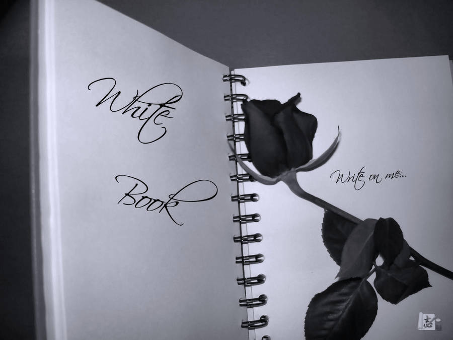 White book by WhiteBook