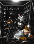 Phantom of the Asylum by erikson1