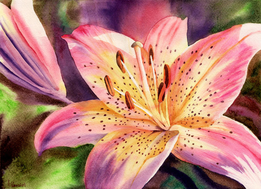 Lily by Alina-Kurbiel