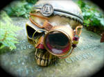 Steampunk Mono-Goggle by joffum