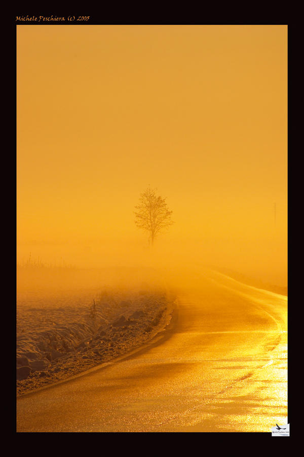 Far away in the fog by superrollino