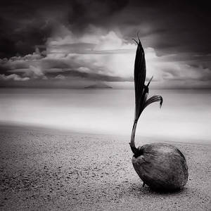 The Beginning of Infinity by warnaiman The Beginning of Infinity by warnaiman