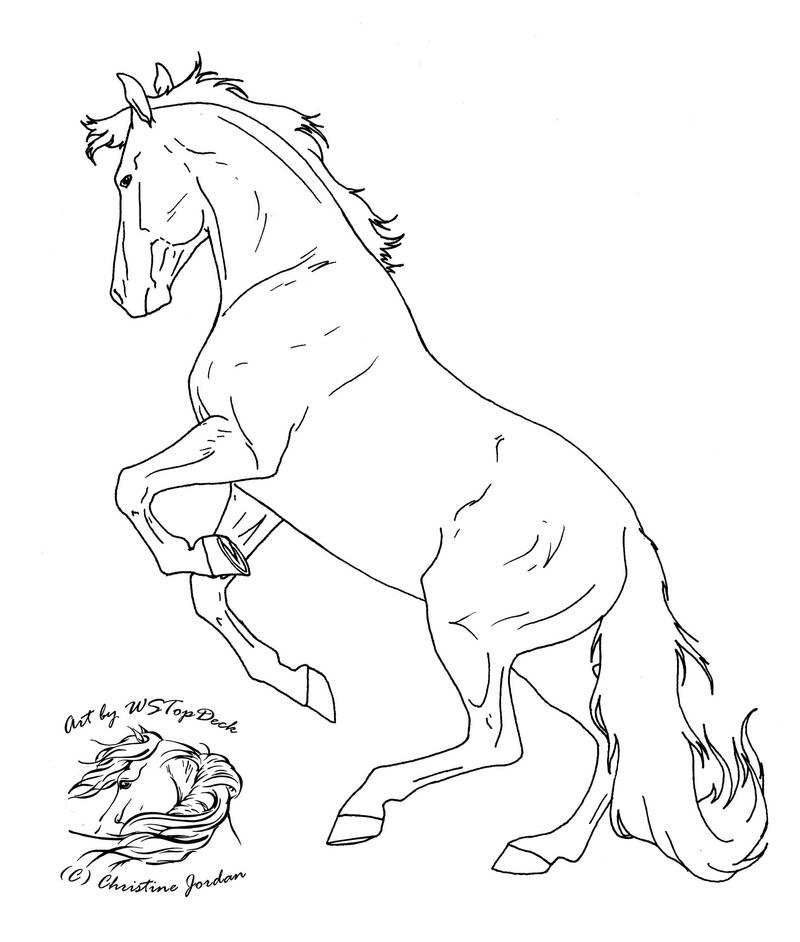 Rearing Lineart-free use by WSTopDeck