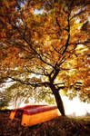 In Autumn by MarcoHeisler