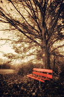 Should I stay or should I go? by MarcoHeisler