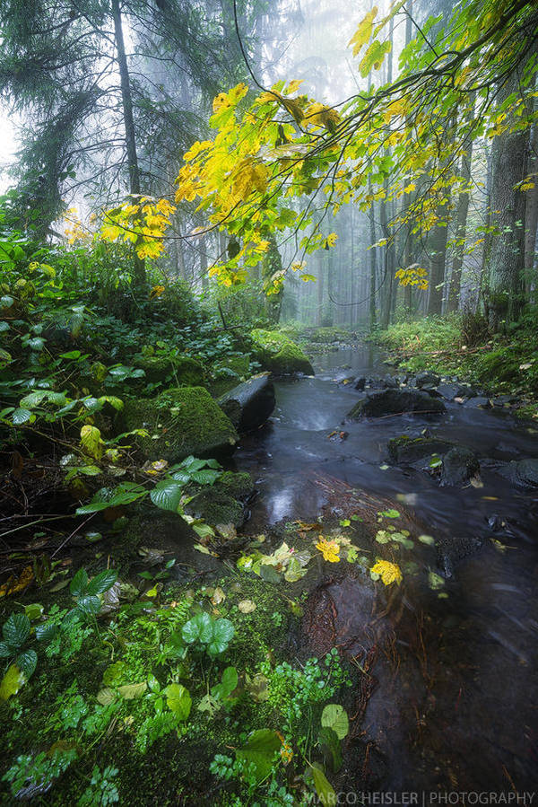 Cold River by MarcoHeisler