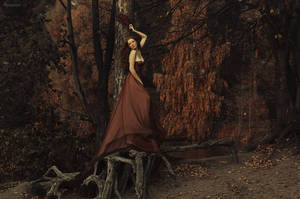 Autumn flowering by rossalev-andrey