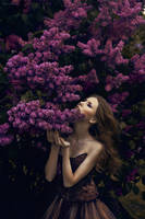 Lilac by rossalev-andrey
