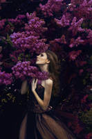 Lilac* by rossalev-andrey