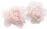 db2wibb-148a273b-4838-42f7-91ec-3a0671e4a3a3.png